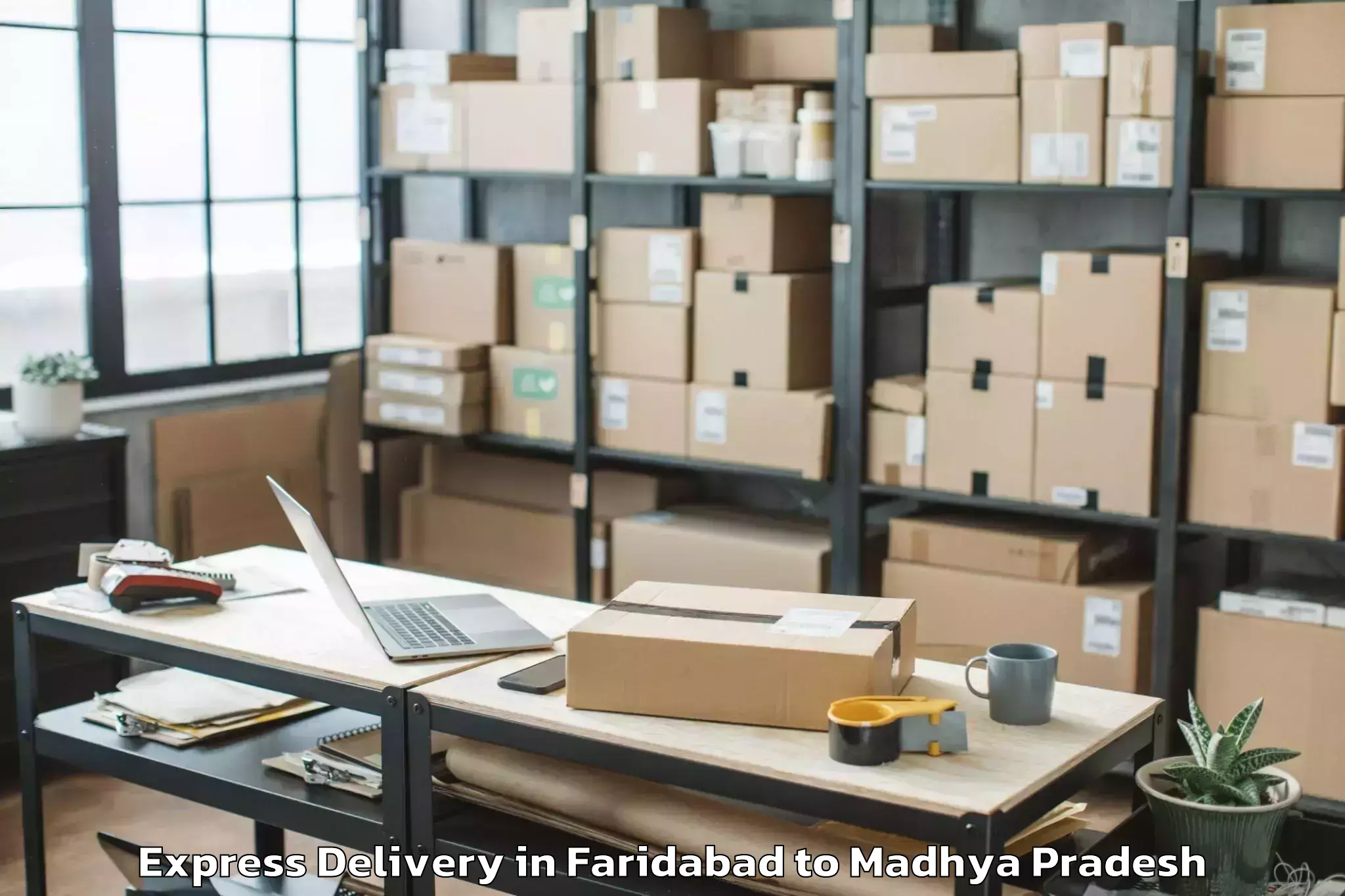 Top Faridabad to Dhamnod Express Delivery Available